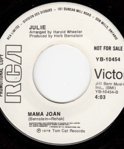Alternative view of Julie Budd - One Fine Day (7", Single, Promo) (Near Mint (NM or M-))