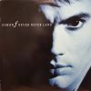 Simon Fellowes - Never Never Land (LP, Album) (Mint (M))