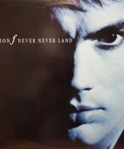 Simon Fellowes - Never Never Land (LP, Album) (Mint (M))