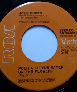 Alternative view of Josie Brown - Both Sides Of The Line (7", Single) (Very Good (VG))
