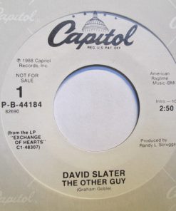David Slater - The Other Guy (7", Promo) (Near Mint (NM or M-))