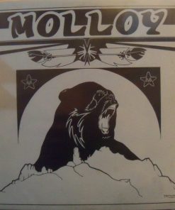 Cameron Molloy - Molloy (LP, Album) (Mint (M))
