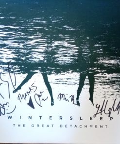 Wintersleep - The Great Detachment (LP, Album, Ltd, M/Print, Num, Gre) (Near Mint (NM or M-))