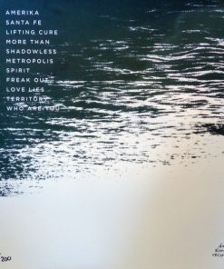 Alternative view of Wintersleep - The Great Detachment (LP, Album, Ltd, M/Print, Num, Gre) (Near Mint (NM or M-))