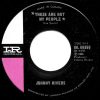 Johnny Rivers - These Are Not My People/ Going Back To Big Sur (7") (Near Mint (NM or M-))