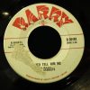The Starlets (2) - Better Tell Him No / You Are The One (7", Single) (Very Good Plus (VG+))