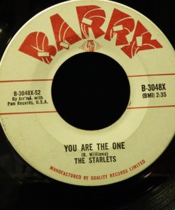 Alternative view of The Starlets (2) - Better Tell Him No / You Are The One (7", Single) (Very Good Plus (VG+))