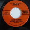 Johnny Desmond - So Long Au Revoir Arrivederci (7", Single) (Very Good Plus (VG+))