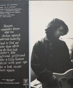 Alternative view of The Folk Implosion - Take A Look Inside....... (LP, Album) (Near Mint (NM or M-))