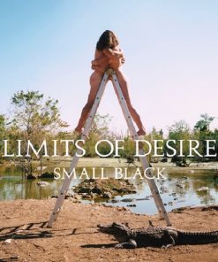 Small Black - Limits Of Desire (LP, Album) (Near Mint (NM or M-))