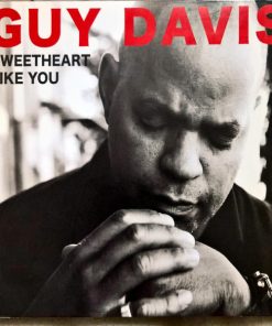 Guy Davis (3) - Sweetheart Like You (CD, Album) (Near Mint (NM or M-))
