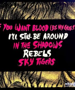 Alternative view of Red City Radio - Sky Tigers (12", S/Sided, EP) (Near Mint (NM or M-))