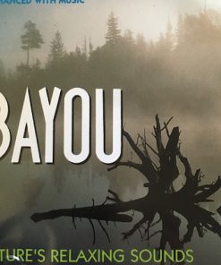No Artist - Bayou (CD) (Near Mint (NM or M-))