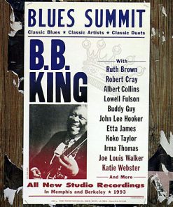 B.B. King - Blues Summit (CD, Album) (Near Mint (NM or M-))
