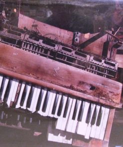 Carbon Dating Service - Reliquiae (LP) (Near Mint (NM or M-))
