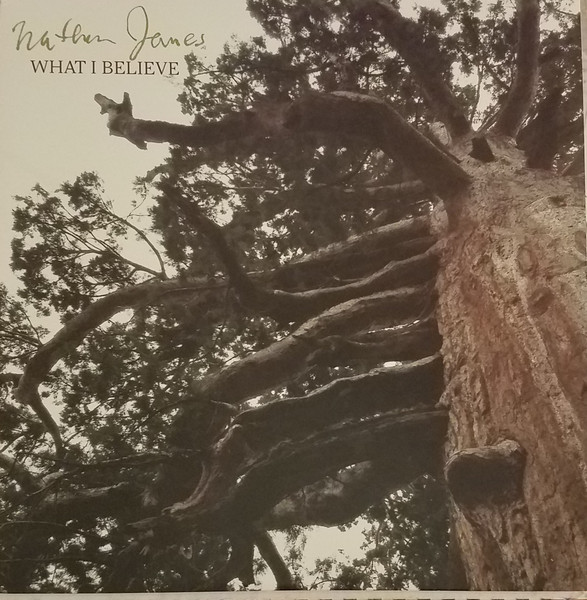 Nathan James (2) - What I Believe (LP, Album) (Near Mint (NM or M-))