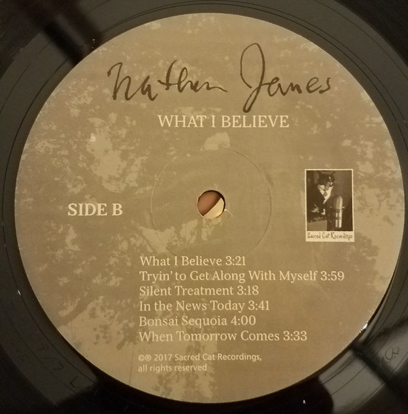 Nathan James (2) - What I Believe (LP, Album) (Near Mint (NM or M-)) - Image 4
