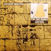 Anthony Braxton  –  Ursula Oppens, Frederic Rzewski - Composition No. 95 For Two Pianos (LP) (Very Good Plus (VG+))