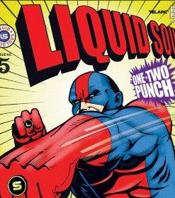 Liquid Soul - One-Two Punch (CD, Album) (Near Mint (NM or M-))