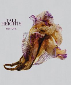 Tall Heights - Neptune (CD, Album) (Near Mint (NM or M-))