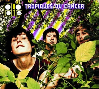 Polipe - Tropiques Du Cancer (CD, Album) (Near Mint (NM or M-))