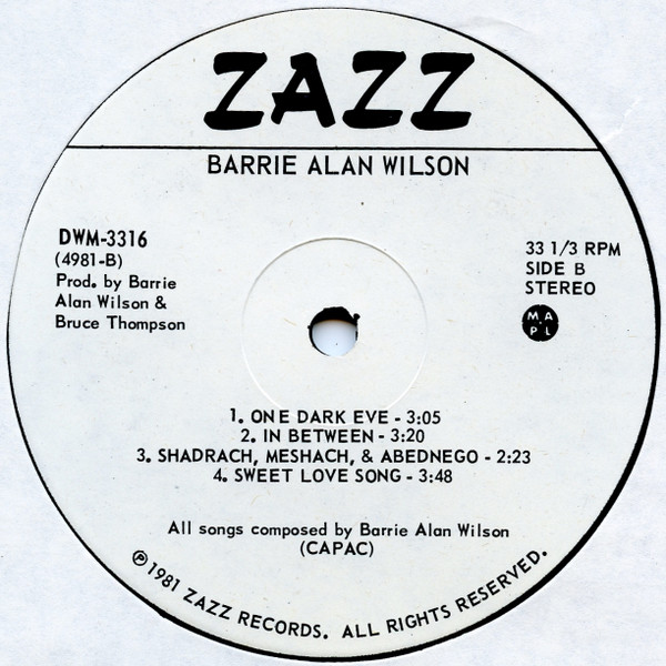 Barrie Alan Wilson - Barrie Alan Wilson (LP, Album) (Mint (M)) - Image 4