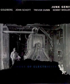 Ben Goldberg, John Schott, Trevor Dunn, Kenny Wollesen : Junk Genius - Ghost Of Electricity (CD, Album) (Near Mint (NM or M-))