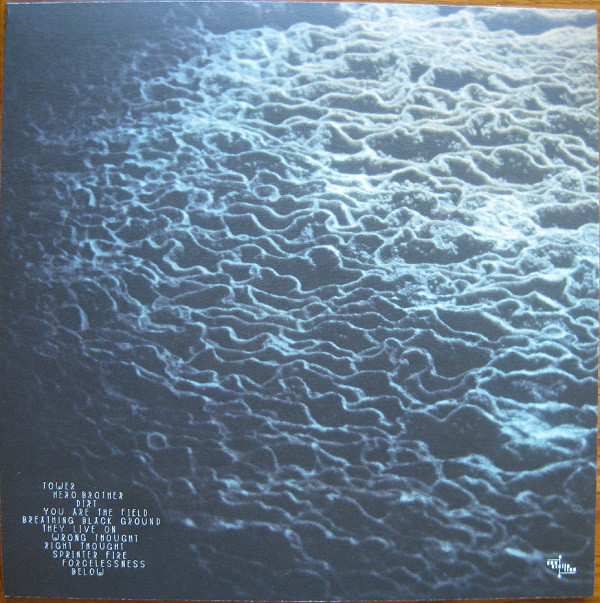 Sarah Neufeld - Hero Brother (LP, Album, 180) (Near Mint (NM or M-)) - Image 2