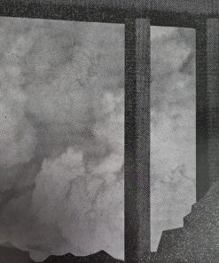 Frankie Rose (2) - Herein Wild (LP, Album, Ltd, Red) (Near Mint (NM or M-)) - Image 5