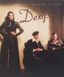Dexys Midnight Runners - One Day I'm Going To Soar (CD, Album) (Mint (M))