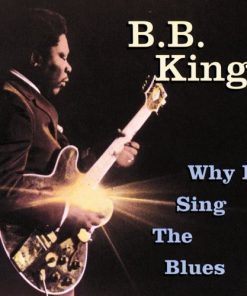B.B. King - Why I Sing The Blues (CD, Comp, RE) (Near Mint (NM or M-))