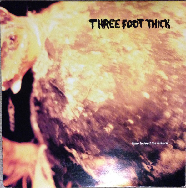 Three Foot Thick - Time To Feed The Ostrich (LP, Album) (Near Mint (NM or M-))
