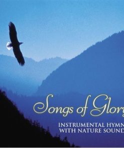 Michael Stanton - Songs Of Glory - Instrumental Hymns (CD, Album) (Near Mint (NM or M-))