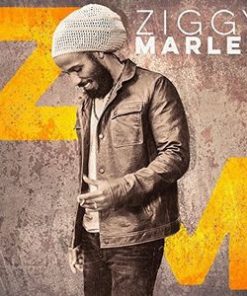 Ziggy Marley - Ziggy Marley (CD, Album) (Near Mint (NM or M-))