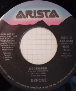 Exposé - Seasons Change (7") (Very Good Plus (VG+))