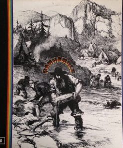 Panhandle (2) - Panhandle (LP, Album) (Near Mint (NM or M-))