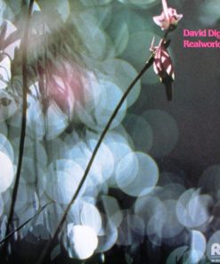 David Diggs - Realworld (LP, Album) (Near Mint (NM or M-))