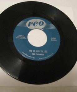 The Flamingos - You, Me And The Sea / Nobody Loves Me Like You (7", Single) (Near Mint (NM or M-))