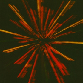 Attack In Black - Years (By One Thousand Fingertips) (2xLP, Album) (Near Mint (NM or M-))