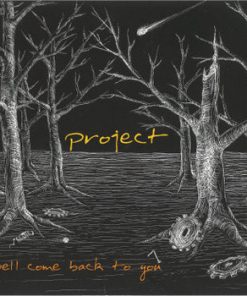 Project (6) - Well Come Back To You (LP) (Very Good Plus (VG+))