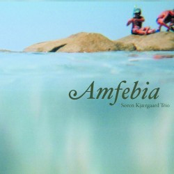 Søren Kjærgaard Trio - Amfebia (CD, Album, Promo) (Near Mint (NM or M-))