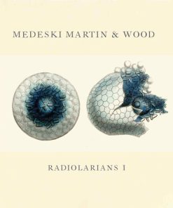 Medeski Martin & Wood - Radiolarians 1 (CD, Album) (Near Mint (NM or M-))