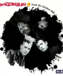 The Sting-Rays - From The Kitchen Sink (CD, Comp, RM) (Mint (M))