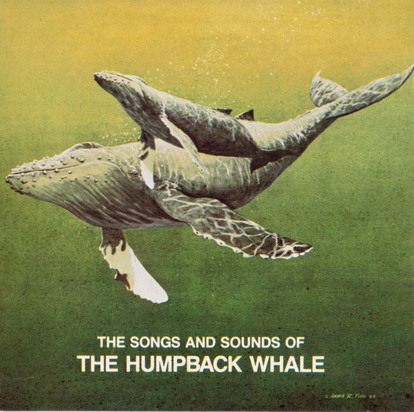 No Artist - Songs And Sounds Of The Humpback Whale (CD, Album) (Near Mint (NM or M-))