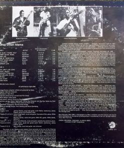 Alternative view of Various - Drop Down Mama (LP, Comp) (Very Good Plus (VG+))