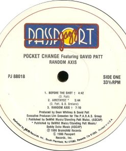 Alternative view of Pocket Change - Random Axis (LP, Album) (Very Good Plus (VG+))