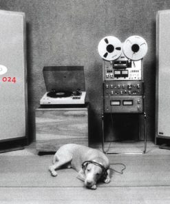 Various - Titan: It's All Pop (4xLP, Comp) (Near Mint (NM or M-))