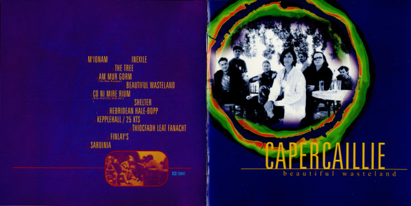 Capercaillie - Beautiful Wasteland (CD, Album) (Mint (M)) - Image 5