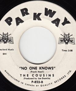 Alternative view of The Cousins (3) - St. Louis Blues (7", Single) (Near Mint (NM or M-))