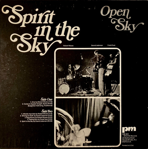 Open Sky - Spirit In The Sky (LP, Album) (Near Mint (NM or M-)) - Image 2